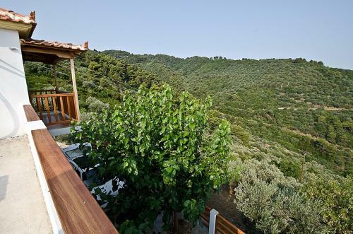 Villa Rose