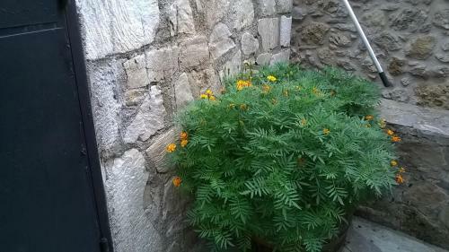 Apartamento Lamprou