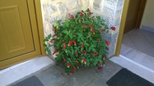 Apartamento Lamprou