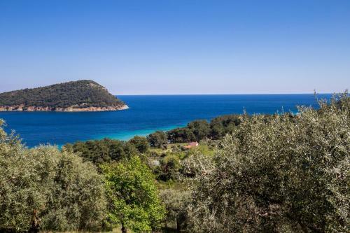 Aphrodite Villas