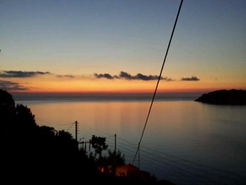 Hostal Aura Guesthouse B&B