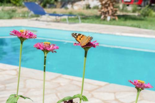 Apartamento Doroufi Inn