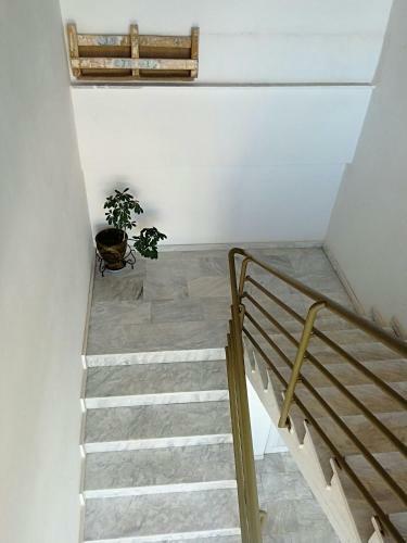 Artemis Apartments A4