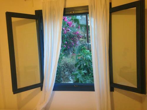 Hostal Sofia Rooms