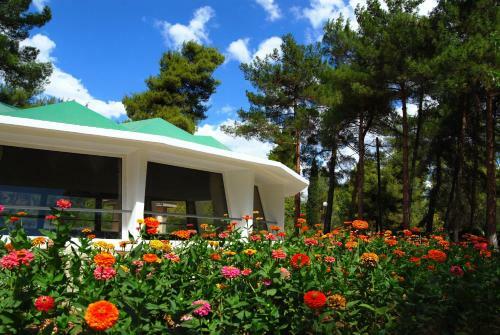 Alexakis Hotel & Spa