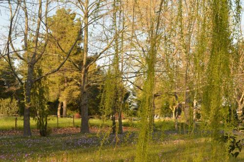 Alexakis Hotel & Spa