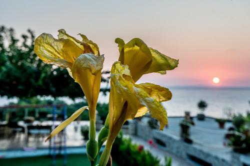 Aparthotel Hotel Agios Thomas