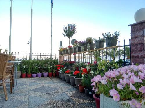 Hotel Akti