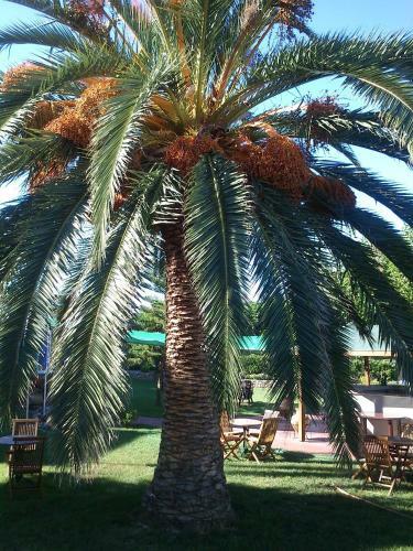 Hostal Evoikos Beach & Resort