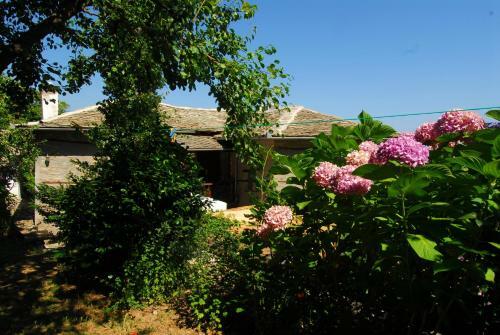 Hostal Archontiko Iatridis