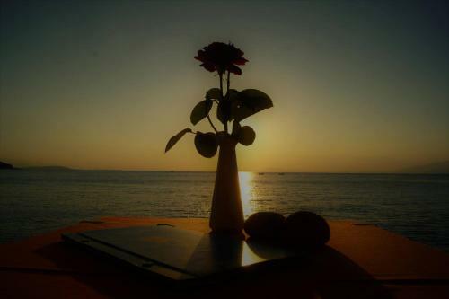 Hostal Argo Rooms And Studios