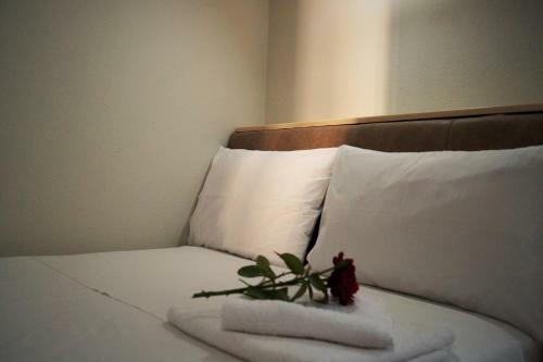 Hostal Argo Rooms And Studios