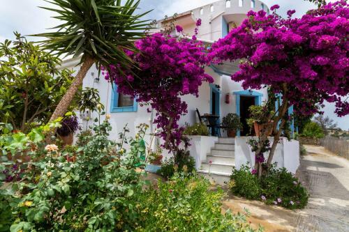 Hostal Jodi's Pension