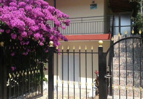 Apartamento Villa Sofia