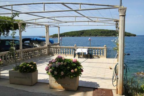 Apartamentos Studio Molunat 8964b