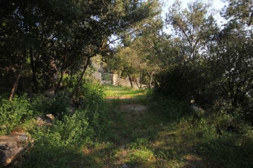 Apartments By The Sea Rogac, Solta - 8688