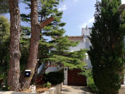 Apartments With A Parking Space Mandre, Pag - 9420