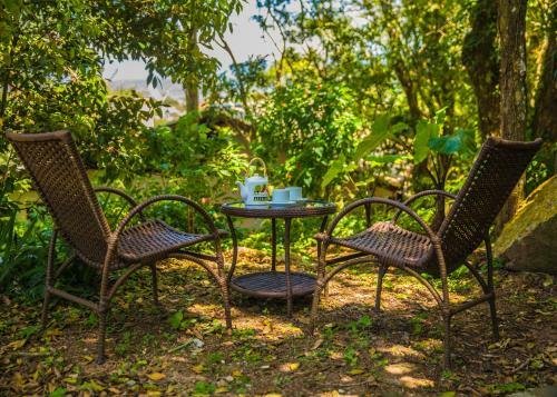 Hostal Regina Guest House