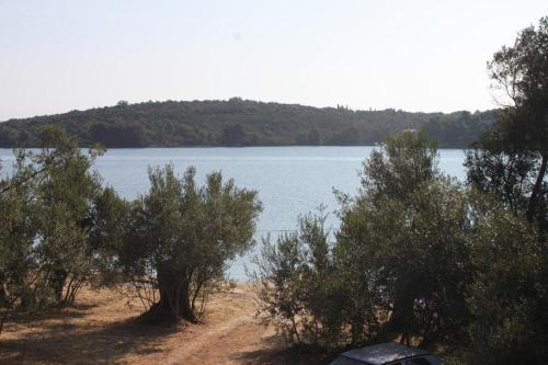 Apartments By The Sea Luka, Dugi Otok - 8151