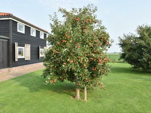 Cozy Apartment In Burgerbrug Netherlands With Meadow View