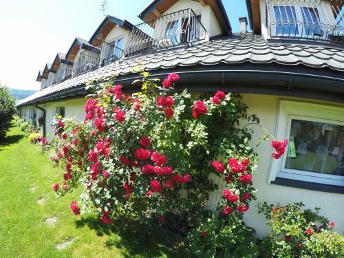 Hostal Pensjonat Tajemniczy Ogr�d