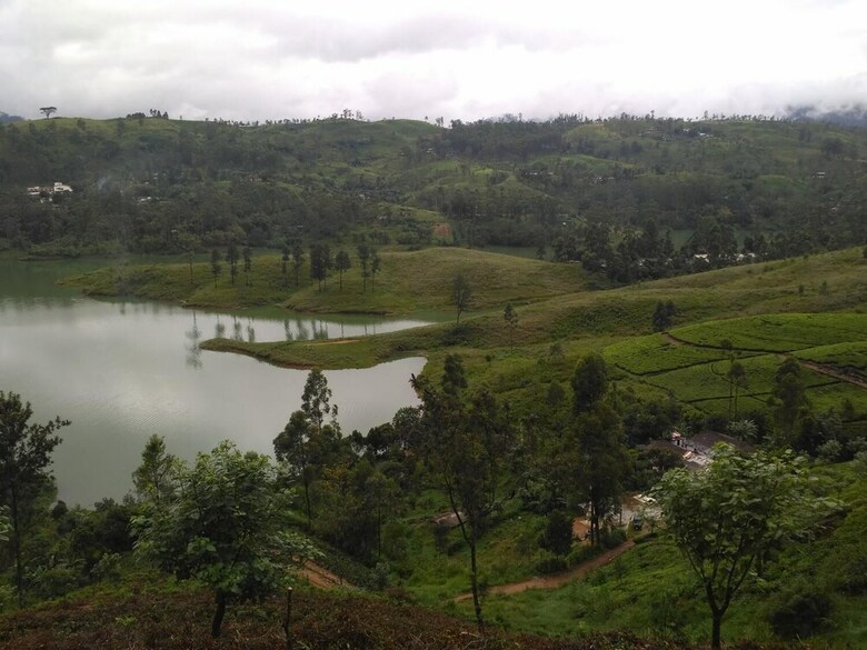 Hotel Dam House