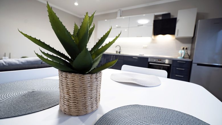 Apartamentos Ecoloft Studios