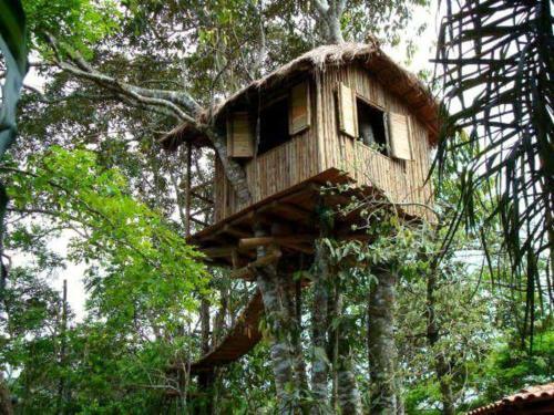 Hostal Pousada Recanto Das Aves