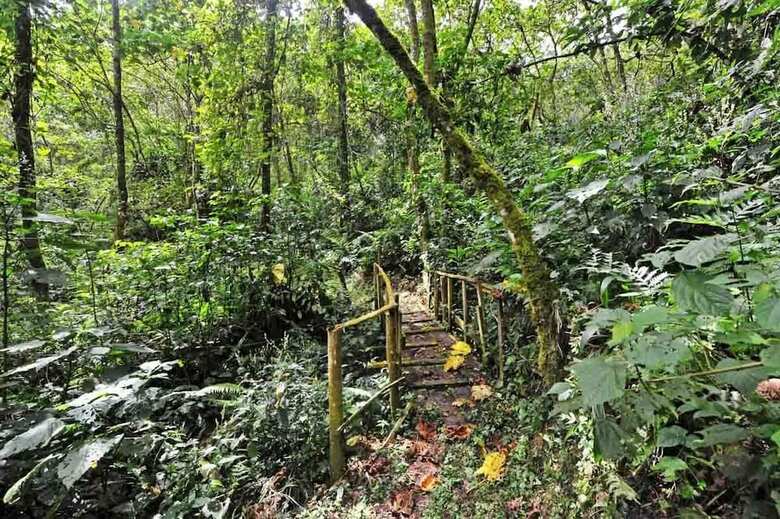 Posada Nkuringo Bwindi Gorilla Lodge