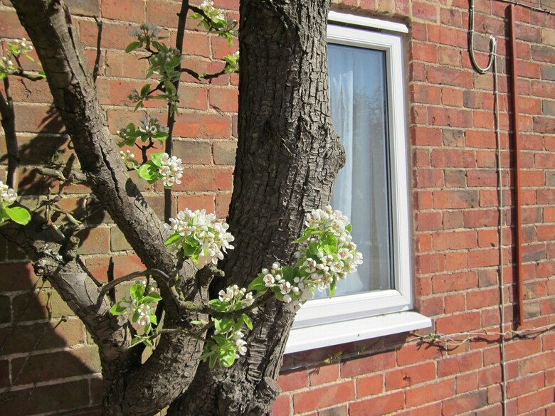 Colston Hall Cottages