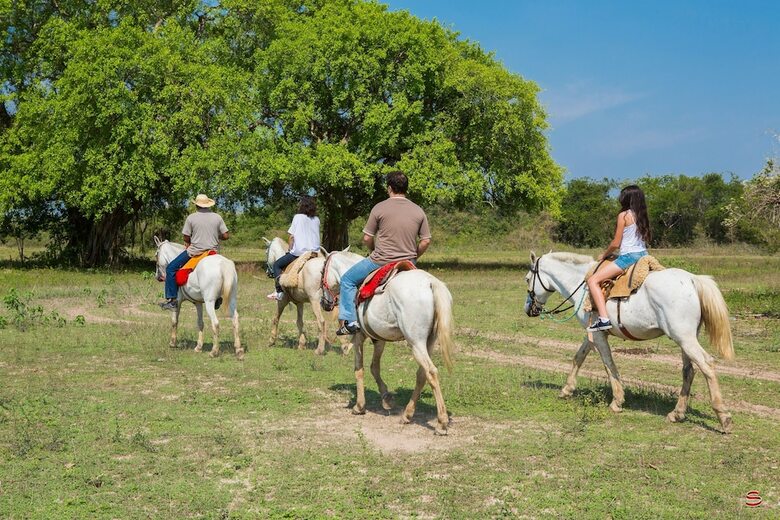 Pantanal Mato Grosso Hotel