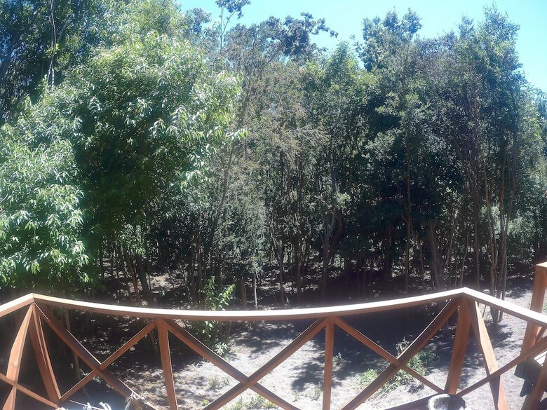 Caba�as Ensenada Bosque Nativo