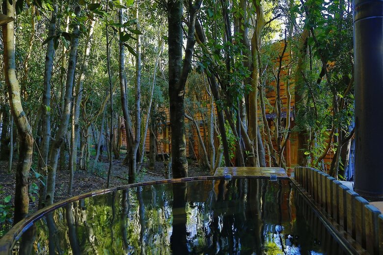 Caba�as Ensenada Bosque Nativo