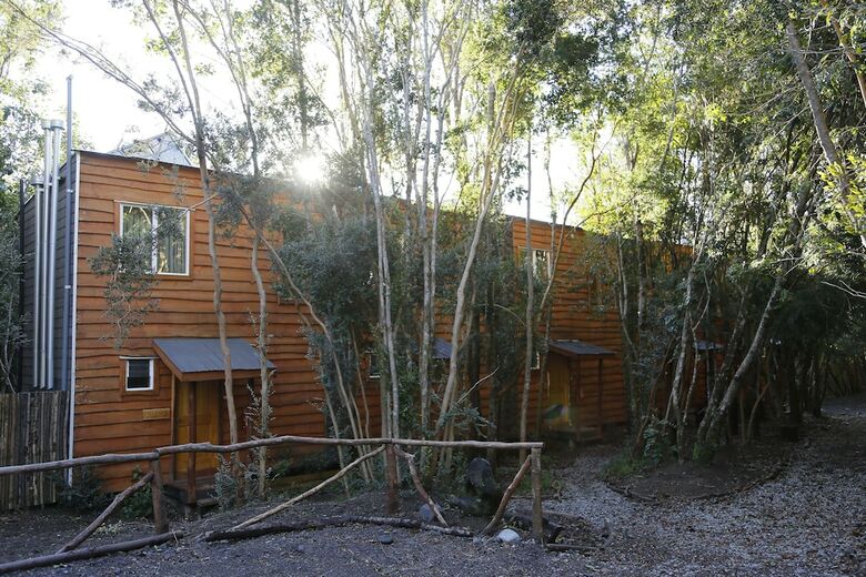 Caba�as Ensenada Bosque Nativo