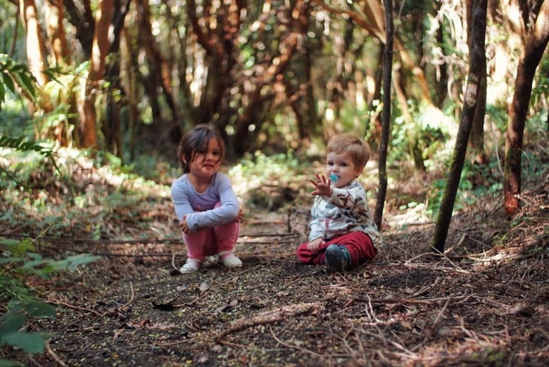 Caba�as Ensenada Bosque Nativo