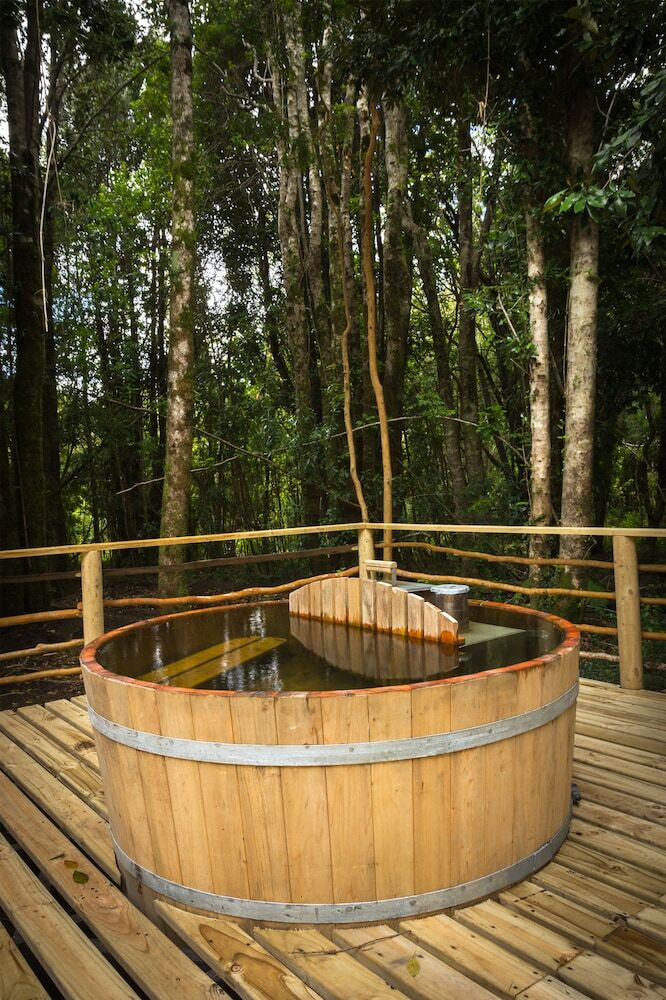 Caba�as Ensenada Bosque Nativo
