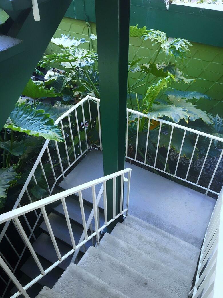 Hotel Oasis Inn
