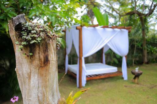 Hostal Pousada Cara�va