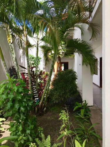 Hostal Pousada Do Gunga