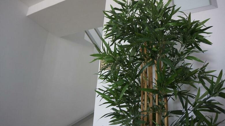 Hotel Portobelo Boulevard