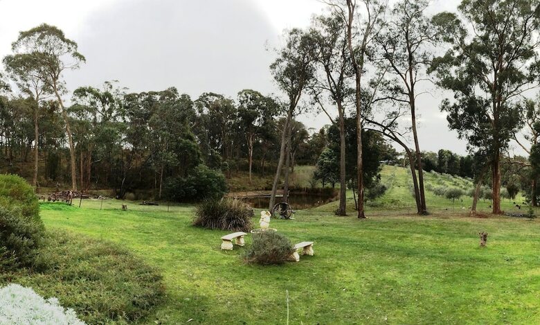 Countryside Connections Tranquil Studio