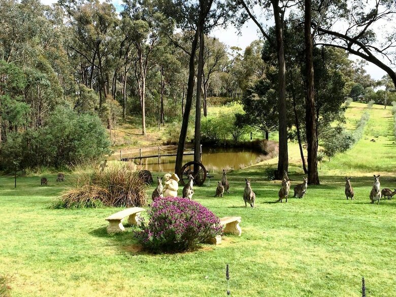 Countryside Connections Tranquil Studio
