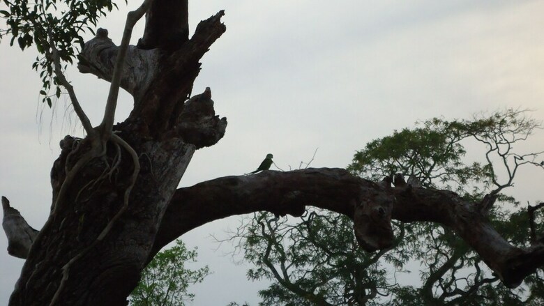 Heina Nature Resort & Yala Safari