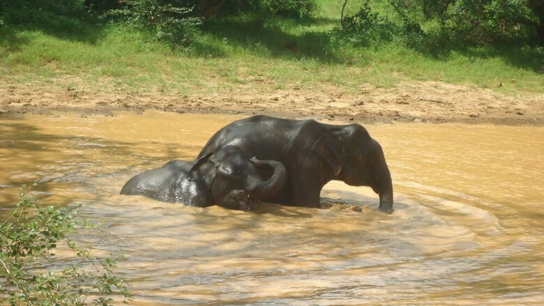 Heina Nature Resort & Yala Safari