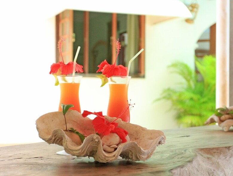 Hotel Villa De Cerf