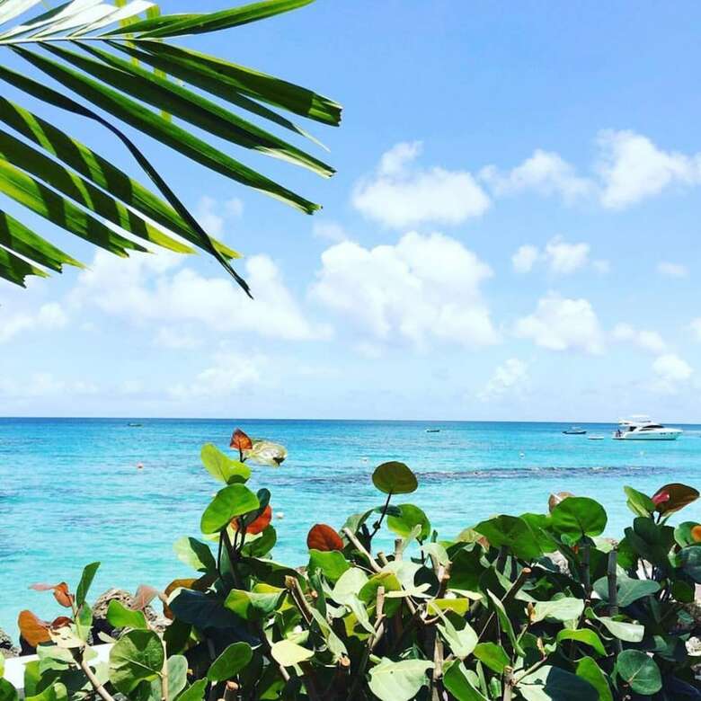 Apartamento Cobblers Cove