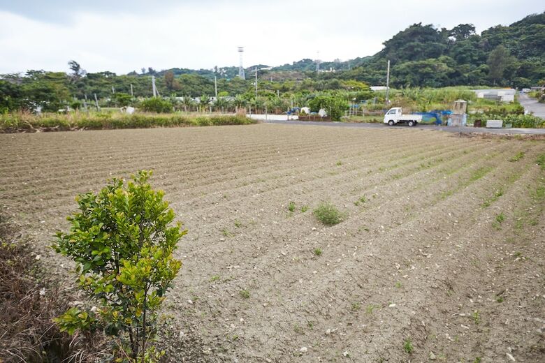 Hotel Southern Village Okinawa