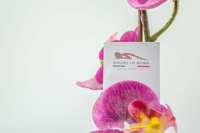 Bed & Breakfast Rooms In Rome