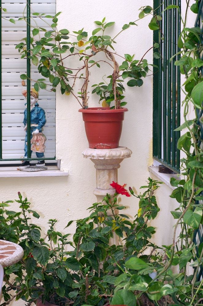 Hostal Azahara