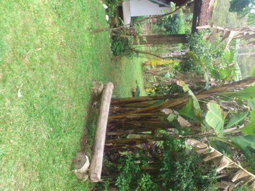 Chalet Teresopolis